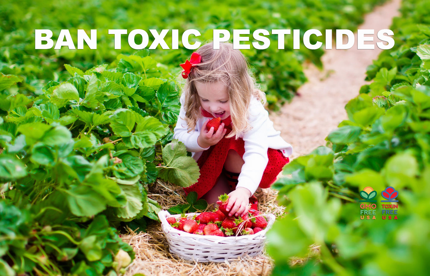 Support the Protect America’s Children from Toxic Pesticides Act of